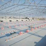 Galvanized Sheet Livestock Farm House Steel Structure Breeder Chicken Houses for sale