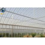 Agriculture Multi Span Poly Tunnel Greenhouse Environment Friendly For Vegetables for sale