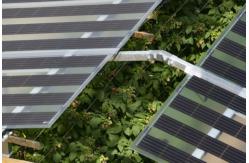 China 1 Kw Off Grid Solar Panel Flat Roof Mounting System With Pro Inverter supplier