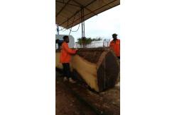 China Large timber cutting saw horizontal band sawmill machine in best selling carpentry supplier