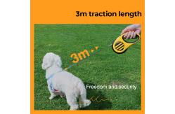 China Pet Leash Small Bee Shape Retractable Automatic Dog Leash supplier