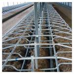 Animal Single Type Free Stall Barn Hot Dip Galvanized Pipe for sale