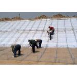 Double Diaphragm Stone Cage Wire Mesh  Gabion Baskets Retaining Wall