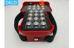 China 20 Channel Industrial Wireless Remote Control supplier