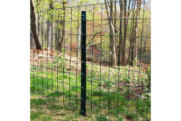 23 BWG 1/4x1/4 7m Pvc Coated Welded Wire Mesh