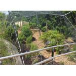 Wear Resisting Stainless Steel Cable Trellis Mesh For Green Wall Foundation for sale