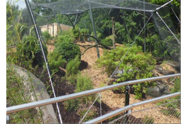 Wear Resisting Stainless Steel Cable Trellis Mesh For Green Wall Foundation