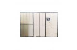 China Intelligent Smart Electronic Laundry Room Lockers Dry Cleaning Locker With Currency Payment System supplier