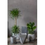Classic Polygon Planter