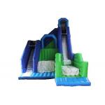 Giant Commercial Inflatable Water Slides For Amusement Park / Playground for sale