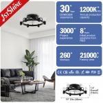 1stshine Ceiling Fan Light CE Elegant Black Flush Mounted Lighting Solutions Service
