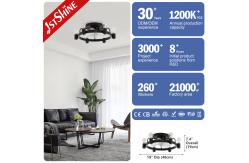 China 1stshine Ceiling Fan Light CE Elegant Black Flush Mounted Lighting Solutions Service supplier