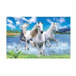 Runnig Horse 3D Lenticular Pictures For House Decorative 0.6mmPET for sale