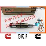 ISX QSX 5579423 4307217 Diesel Engine Parts Fuel Injector Repair Kit 5579423 4307217 for sale