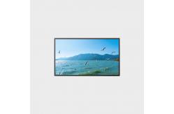 China 49-inch LCD Screen 3840*2160 1500nits LCMA-RX0490GL10-C150 supplier