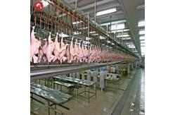 China Halal Poultry Automatic Chicken Slaughtering Machine 300BPH To 10000BPH supplier
