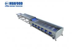 China 3t/H Electric Tomato Carrot Sorting Machine 220V 1.85KW supplier