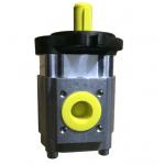 Gear Vane Hydraulic Machine Pump EIPH6-080RA23 EIPH3-020RK23 CE Certified for sale