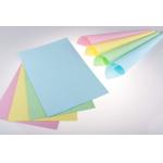 55gsm 305mm NCR Paper for sale