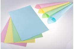 China 55gsm 305mm NCR Paper supplier
