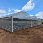 Hydroponic Complete Thailand Multi Span Greenhouse Side Ventilation Industrial for sale