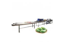 China Mango Vegetable Washing Machine Large Capital Fruit And Vegetable Cleaning Line supplier