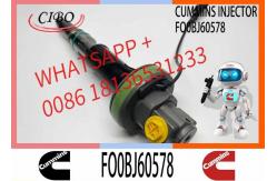 China Fuel Injector Assembly Y431K05246 FO0BJ60578 FOOBJ60783 1000019903 For Qsk19 Engine supplier