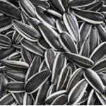 Sunflower Seed Turkey Market Price Ukraine Chinese Raw 601 Sunflower Seed Wholesale for sale