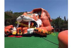 China giant tiger bouncy castle slide supplier