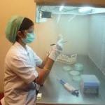 Preshipment Laboratory Testing Services  3rd Party With Detailed Report for sale