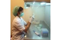 China Preshipment Laboratory Testing Services  3rd Party With Detailed Report supplier