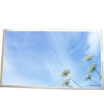 AUO 18.5 M185XW01 VJ 1366*768 84PPI Connector 30 pins LCD Screen display panel for sale