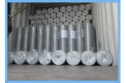 China 3/4 X 3/4 Electro Galvanized Hexagonal Chicken Wire Netting supplier