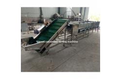 China Cucumber Sorting Machine, Cucumber Grading Machine, Cucumber Grader sorter supplier