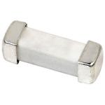 250V NANO2 Time Lag Subminiature Surface Mount Fuse
