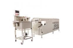 China Easy Operation Small Chocolate Enrober Machine For Dry Fruit Chocolate Coating supplier