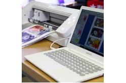 China Daqin Custom CE Sticker Cutting Plotter Machine Skin Making Software supplier