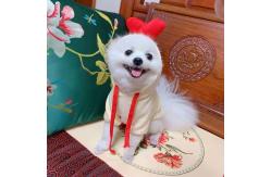 China Fruit Shape Cloth material 1kg Pets Wearing Clothes supplier