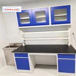 Standard Size Versatile Lab Furnitures  Laboratory Casework for Various Scientific Applications for sale