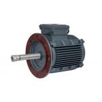 Energy Saving 3 Phase Permanent Magnet Motor For Cooling Tower for sale