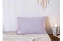 China 40S Plain Cloth 48x74cm Down Feather Pillows supplier