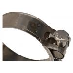 Agricultural Sector Zinc Plated SS310 T Bolt Hose Clamp