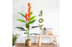 China New released artificial bird of paradise with flower for sale supplier