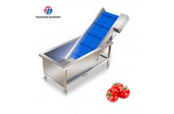 China 2Pcs/Min Fruit And Vegetable Automatic Elevator Food Conveying supplier