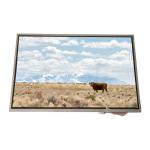 LTD133EXBX 13.3 inch TFT-LCD Screen Display Module for sale