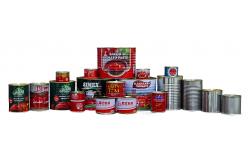 China Aerosol Can Dome manufacturer