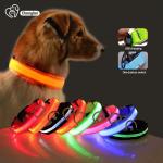 Hundehalsband Lighted Dog Collars Rechargeable Nylon XS XL LED Pet Collar for sale