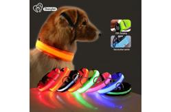 China Hundehalsband Lighted Dog Collars Rechargeable Nylon XS XL LED Pet Collar supplier