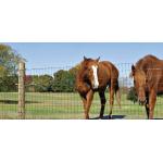 KEYSTONE STEEL & WIRE Monarch Field Fencing, 10-Wire, 330-Ft.