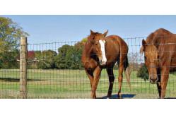 China KEYSTONE STEEL & WIRE Monarch Field Fencing, 10-Wire, 330-Ft. supplier